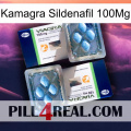 Kamagra Sildenafil 100Mg viagra5